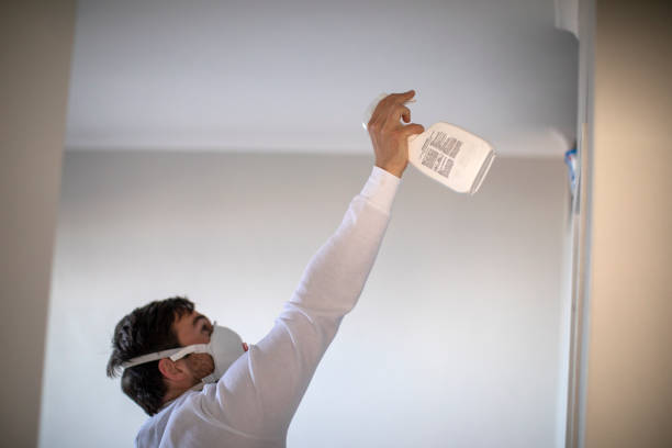 Best Home Mold Removal  in St Ignace, MI
