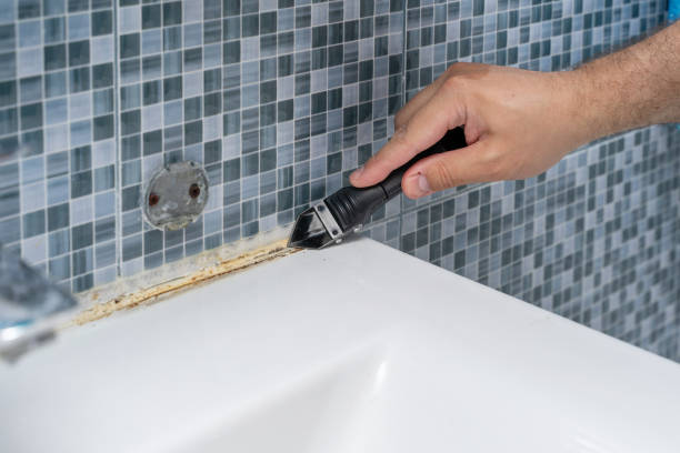 Best Local Mold Removal Service  in St Ignace, MI